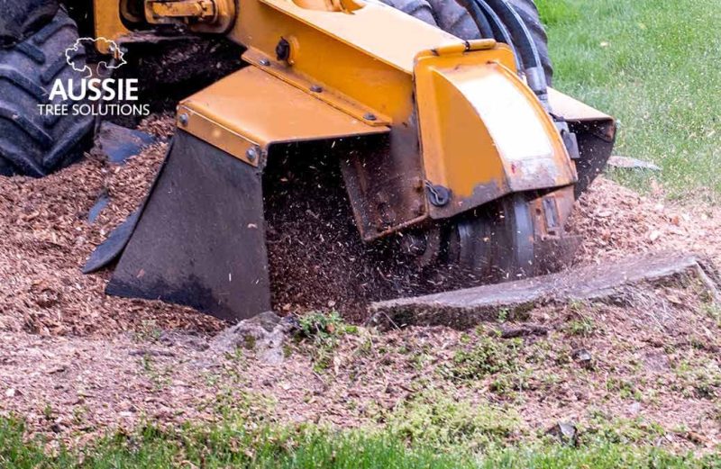 What Is Stump Grinding And How Does It Work? - Aussie Tree Solutions